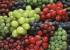 La dieta y el estrés oxidativo